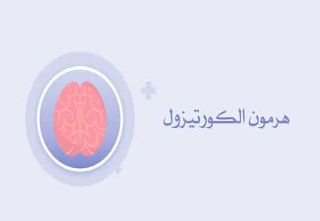 الهرمونات في جسم الإنسان