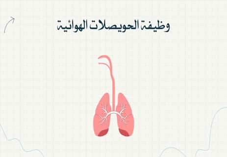 وظيفة الرئتين في جسم الإنسان: أسرار التنفس وتبادل الغازات 11 وظيفة القصبة الهوائية