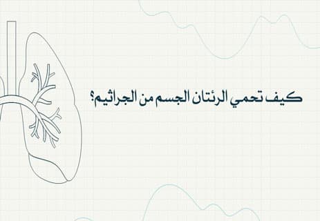 وظيفة الرئتين في جسم الإنسان: أسرار التنفس وتبادل الغازات 12 تبادل الغازات في الرئتين