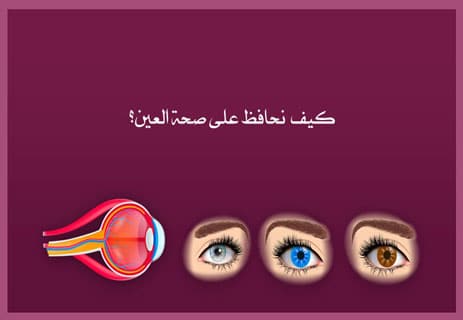 حاسة الإبصار: حقائق علمية مذهلة عن العين البشرية 14 أهمية العين في جسم الإنسان