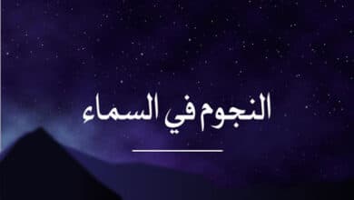 النجوم في السماء؛ النجوم والمجرات؛ معلومات عن النجوم