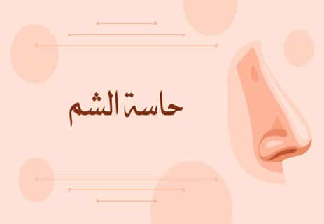 حاسة الشم: كيف ينقذك أنفك من الخطر دون أن تشعر؟ 15 حاسة الشم عند الإنسان