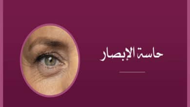 معلومات عن العين وحاسة الإبصار