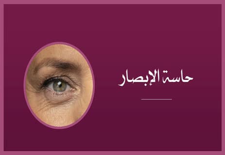 حاسة الإبصار: حقائق علمية مذهلة عن العين البشرية 14 معلومات عن العين وحاسة الإبصار