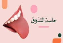 حاسة التذوق