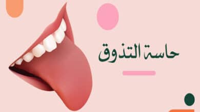 حاسة التذوق