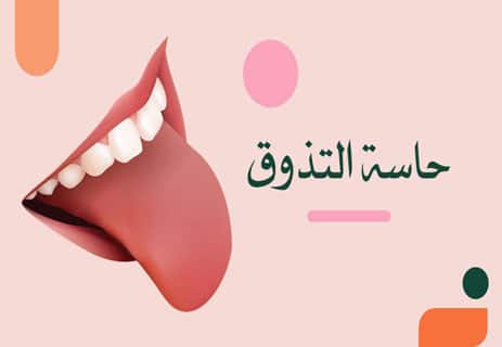 حاسة التذوق عند الإنسان: كيف يميز اللسان النكهات المختلفة؟ 17 حاسة التذوق