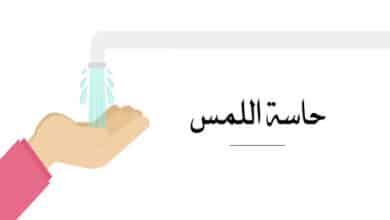 حاسة اللمس