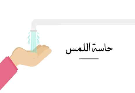 حاسة اللمس: كيف يشعر الإنسان بالألم والحرارة والبرودة؟ 16 حاسة اللمس