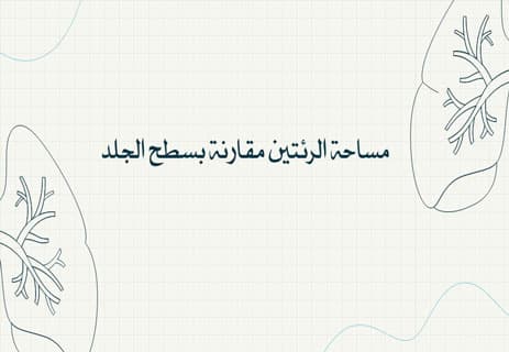 وظيفة الرئتين في جسم الإنسان: أسرار التنفس وتبادل الغازات 13 وظيفة الرئتين في جسم الإنسان