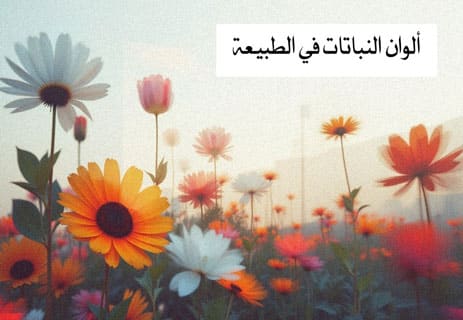 كيف تتكون الألوان في الطبيعة علميًا؟