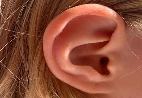 معلومات عن جسم الإنسان: حاسة السمع… أذن الإنسانالاعتدال في حواس الإنسان الخمسة