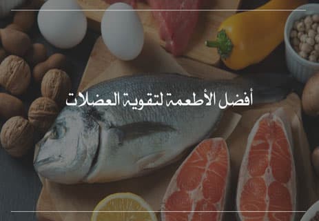 عضلات جسم الإنسان: أسرار القوة والحركة داخل الجسد 14 الألياف العضلية