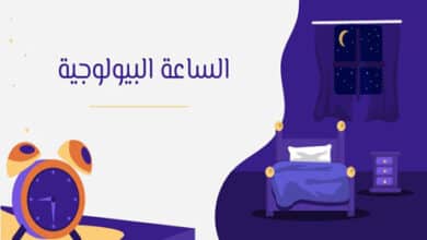 الساعة البيولوجية في جسم الإنسان