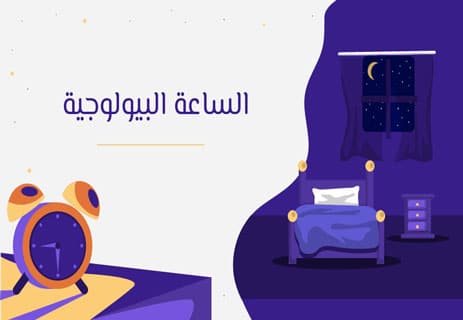 الساعة البيولوجية: كيف تعمل ولماذا تتحكم في حياتك؟ 12 الساعة البيولوجية في جسم الإنسان