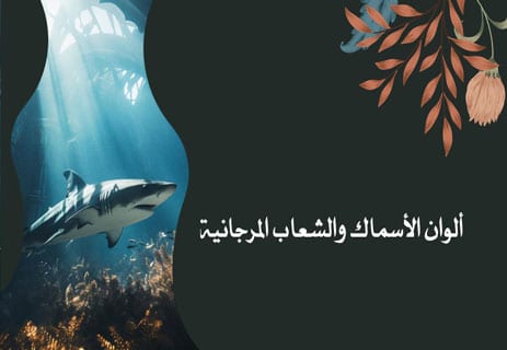 ألوان البحار والمحيطات