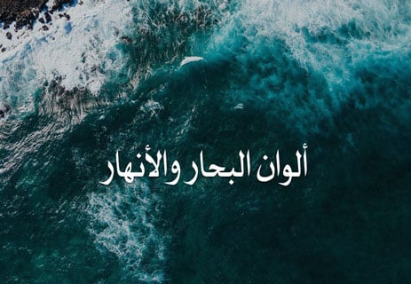 تنوع الألوان في الطبيعة