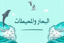 الفرق بين البحار والمحيطات وأهمية البحار والمحيطات؛ مسطحات مائية