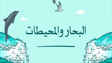 الفرق بين البحار والمحيطات وأهمية البحار والمحيطات؛ مسطحات مائية