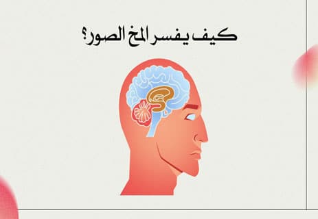 حاسة الإبصار: حقائق علمية مذهلة عن العين البشرية 12 الشبكية والعصب البصري