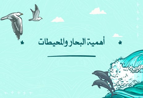 الفرق بين البحار والمحيطات: معلومات مذهلة عن العالم الأزرق 11 معلومات عن البحار والمحيطات