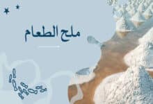 ملح الطعام ؛ أهمية ملح الطعام