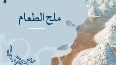 ملح الطعام ؛ أهمية ملح الطعام