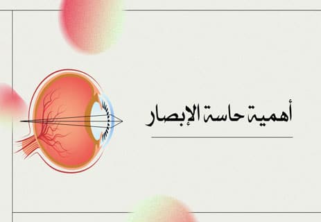 حاسة الإبصار: حقائق علمية مذهلة عن العين البشرية 11 كيف تعمل العين البشرية في تكوين الصورة