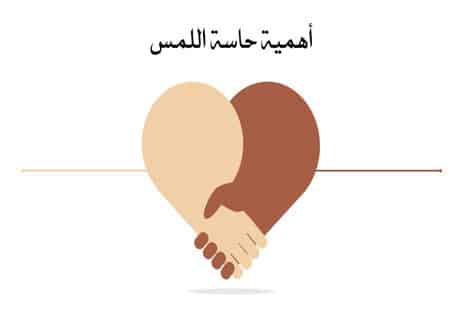 حاسة اللمس: كيف يشعر الإنسان بالألم والحرارة والبرودة؟ 11 الإحساس بالألم والحرارة