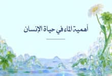 أهمية الماء في حياة الإنسان