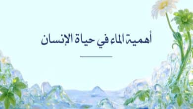 أهمية الماء في حياة الإنسان