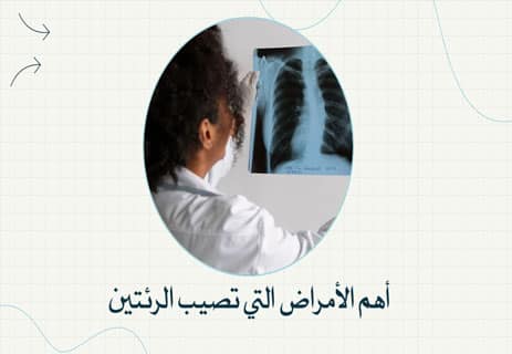 وظيفة الرئتين في جسم الإنسان: أسرار التنفس وتبادل الغازات 14 كيف تعمل الرئة