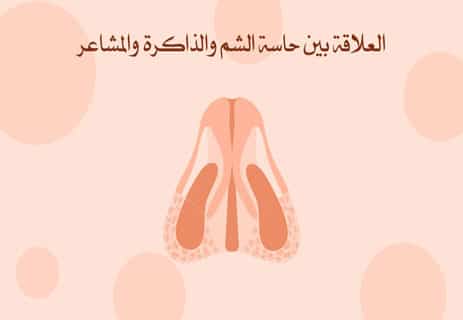 حاسة الشم: كيف ينقذك أنفك من الخطر دون أن تشعر؟ 11 وظائف الأنف عند الإنسان