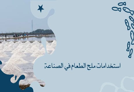 أهمية ملح الطعام للإنسان: حقائق علمية مذهلة 14 استخراج الملح من البحر