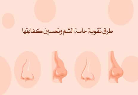 حاسة الشم: كيف ينقذك أنفك من الخطر دون أن تشعر؟ 13 وظائف الأنف عند الإنسان