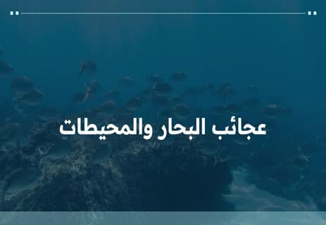 الفرق بين البحار والمحيطات: معلومات مذهلة عن العالم الأزرق 12 استكشاف أعماق المحيطات