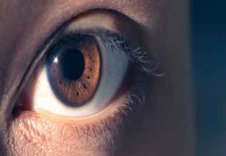 معلومات عن جسم الإنسان: حاسة الابصار (5) العين البشرية