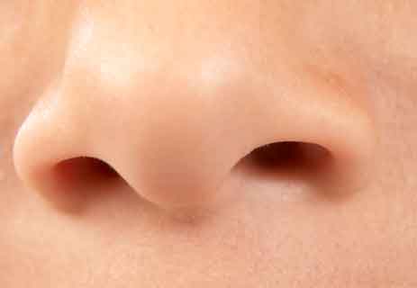معلومات عن جسم الإنسان: حاسة الشم (4) أنف الإنسان.. الجهاز التنفسيالاعتدال في حواس الإنسان