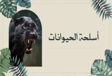 أسلحة الحيوانات