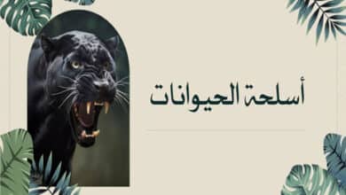 أسلحة الحيوانات