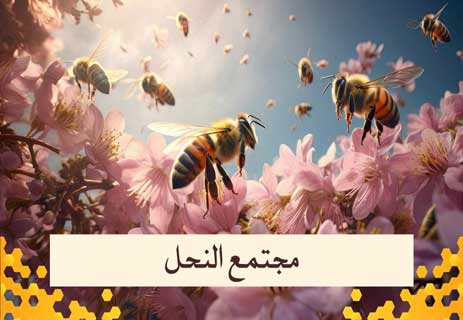 أسرار عالم النحل: المملكة الخفية التي تحفظ الحياة على الأرض 12 ملكة النحلشغالات النحل ذكور النحل
