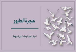 Read more about the article هجرة الطيور: أسرار أغرب الرحلات في الطبيعة