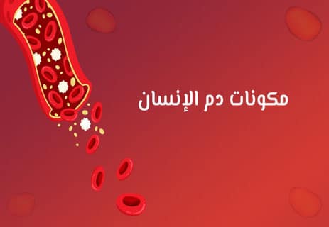 مكونات دم الإنسان: رحلة داخل شرايين الحياة 10 معلومات عن دم الإنسان