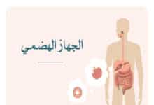 مكونات الجهاز الهضمي للإنسان: رحلة الطعام داخل الجسم 26 الجهاز الهضمي للانسان؛ مكونات الجهاز الهضمي ؛اعضاء الجهاز الهضمي