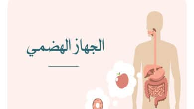 الجهاز الهضمي للانسان؛ مكونات الجهاز الهضمي ؛اعضاء الجهاز الهضمي