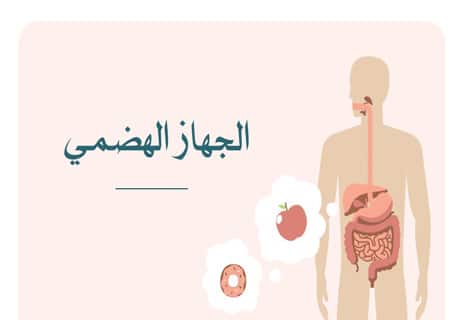 الجهاز الهضمي للانسان؛ مكونات الجهاز الهضمي ؛اعضاء الجهاز الهضمي