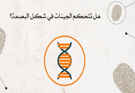 بصمات الأصابع: كيف تتشكل ولماذا يستحيل تطابقها بين البشر؟ 12 البصمات والجينات