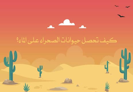 حيوانات الصحراء: كيف تتكيف مع الجفاف وحرارة الرمال؟ 11 كيف تعيش الحيوانات في الصحراء
