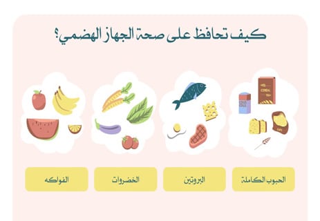 مكونات الجهاز الهضمي للإنسان: رحلة الطعام داخل الجسم 17 عملية الهضم عند الإنسان