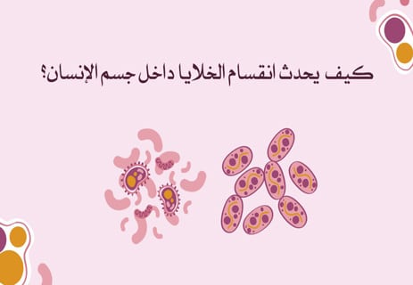 كيف تنتشر الخلايا السرطانية داخل جسم الإنسان؟ 10 انقسام الخلايا السرطانية